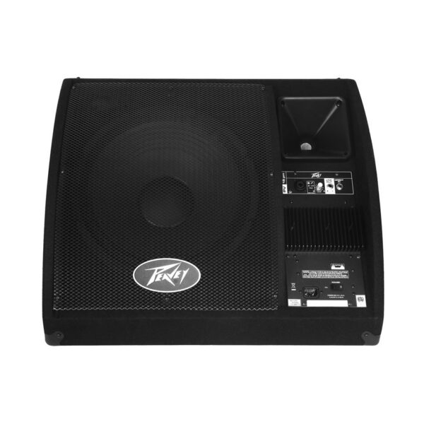 Peavey PV 15PM 15" Bi-Amp Powered Stage Monitor